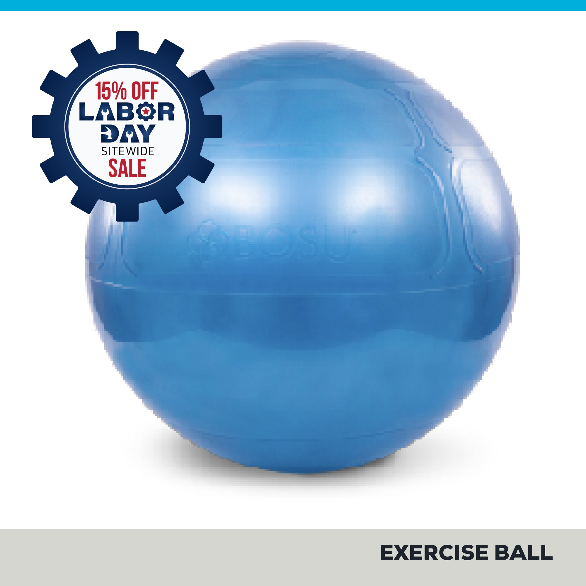 Exercise Ball 65CM